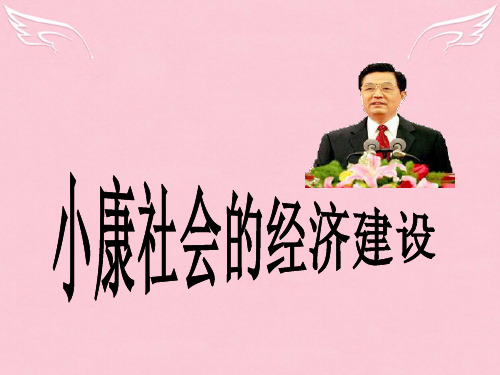 第十一课全面建设小康社会的经济目标(课件)