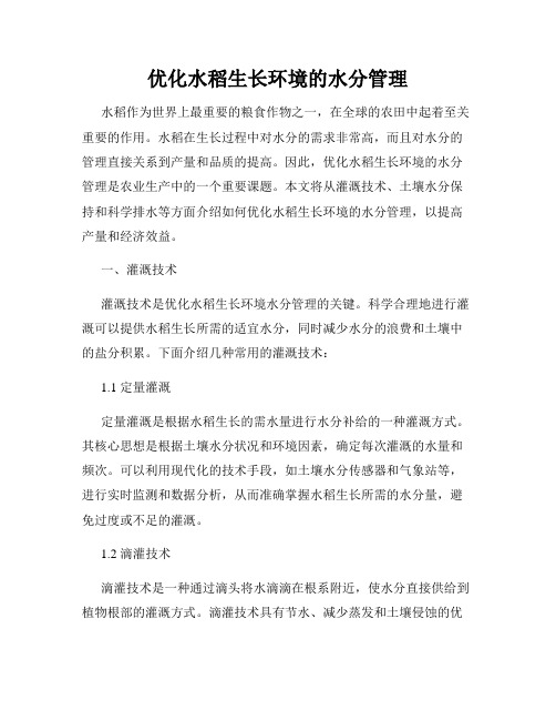 优化水稻生长环境的水分管理
