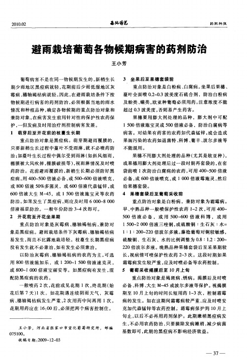 避雨栽培葡萄各物候期病害的药剂防治