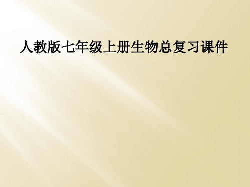 人教版七年级上册生物总复习课件