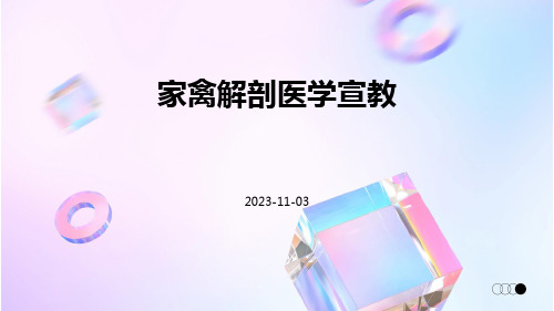 家禽解剖医学宣教