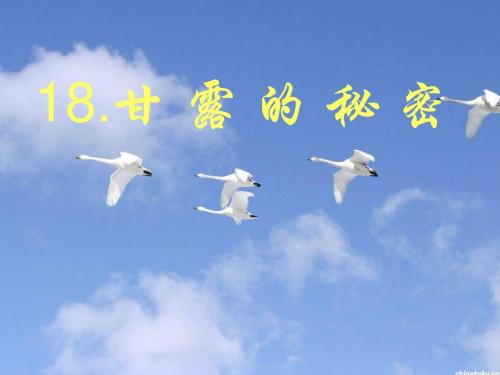 初中语文《甘露的秘密》(共13张)ppt4