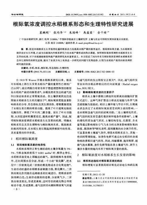 根际氧浓度调控水稻根系形态和生理特性研究进展