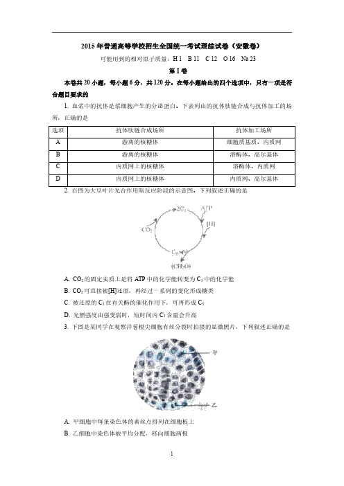 2015年高考化学安徽卷