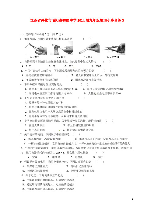 江苏省兴化市昭阳湖初级中学九年级物理小步训练3(无答