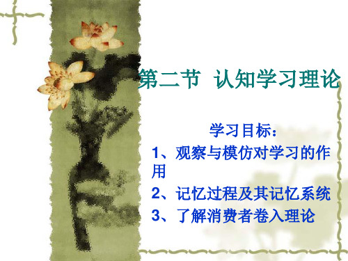第二章第二节认知学习理论