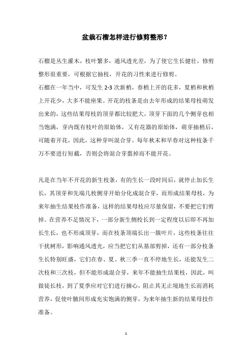 盆栽石榴怎样进行修剪整形？