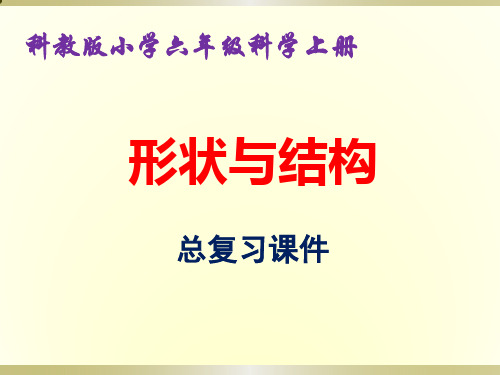 科教版六年级科学上册《形状与结构》优质课件.ppt