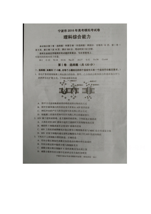 浙江省宁波市2016届高三生物下册第二次模拟检测题