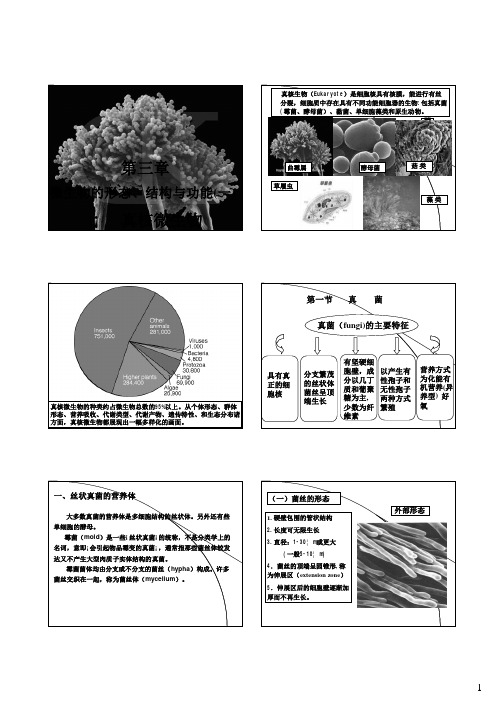 南开大学微生物学课件 3-微生物的形态结构(二)