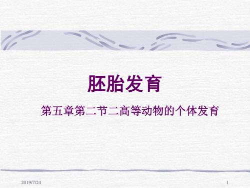 动物的个体发育