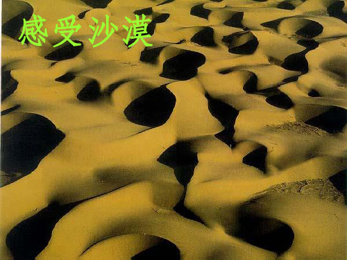 沙漠里的奇怪现象PPT