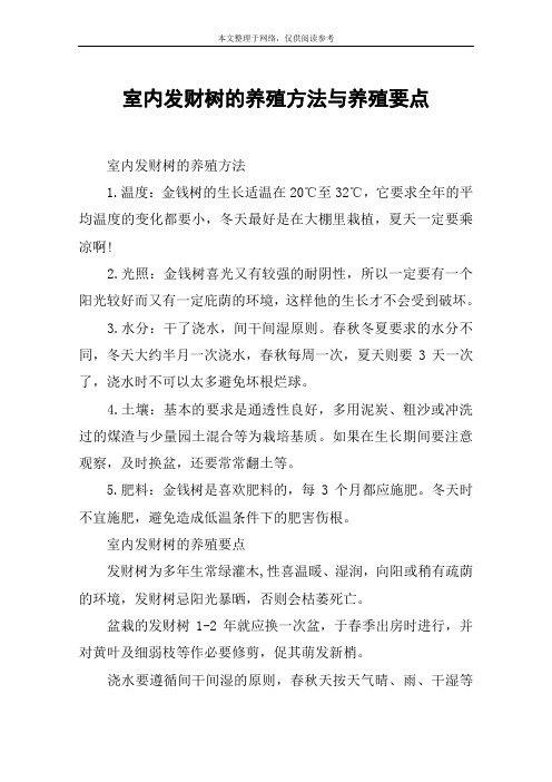 室内发财树的养殖方法与养殖要点
