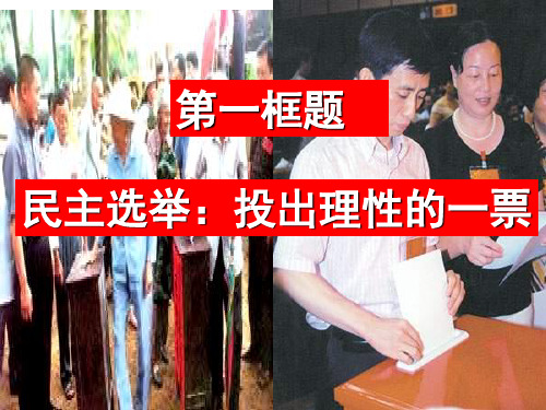 高一政治民主选举：投出理性一票