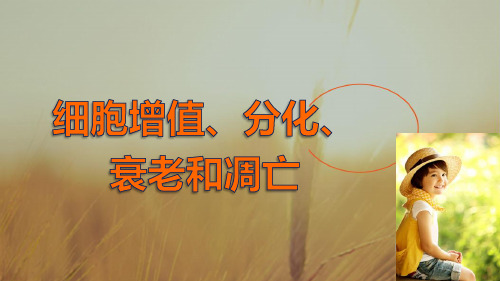 2018生物必修1课件：第五章 第23课时 细胞分化和全能性 含解析