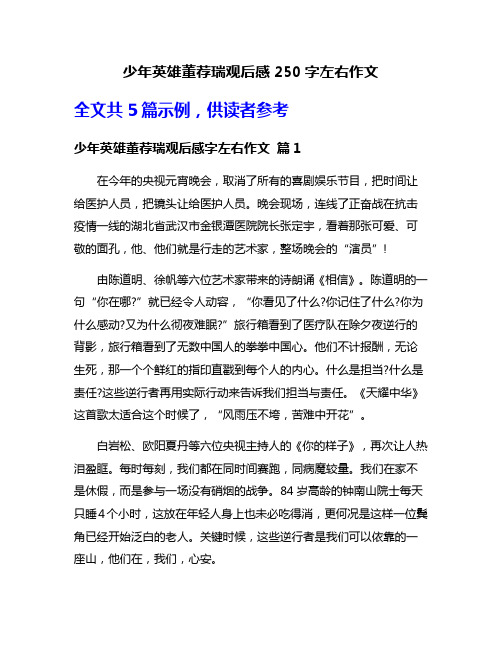 少年英雄董荐瑞观后感250字左右作文