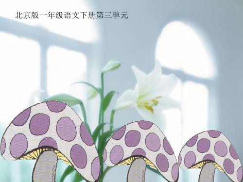 北京版房顶上的大蘑菇PPT教学课件
