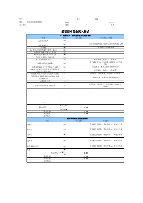 现金流量表项目测试(审计底稿)