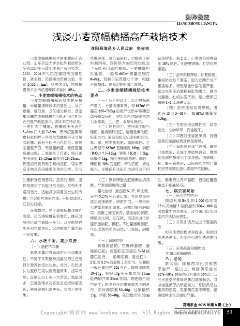 浅谈小麦宽幅精播高产栽培技术