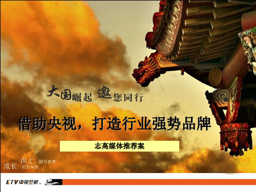 季沐歌太阳雨太阳能2009年央视策划案