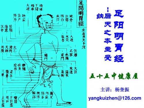 03足阳明胃经