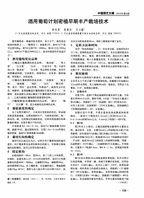 酒用葡萄计划密植早期丰产栽培技术