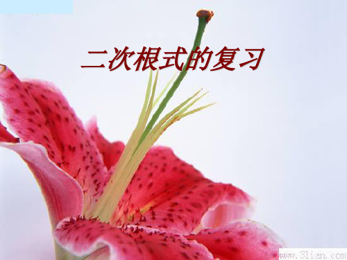 【最新】人教版八年级数学下册第十六章《二次根式复习》公开课课件.ppt