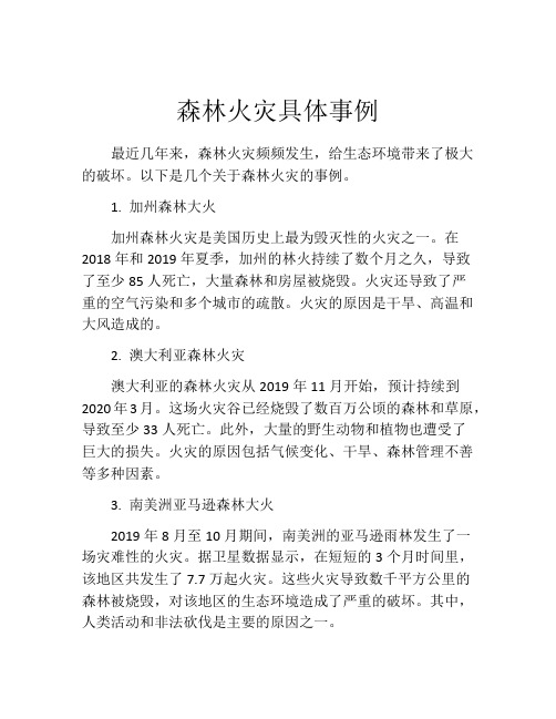 森林火灾具体事例