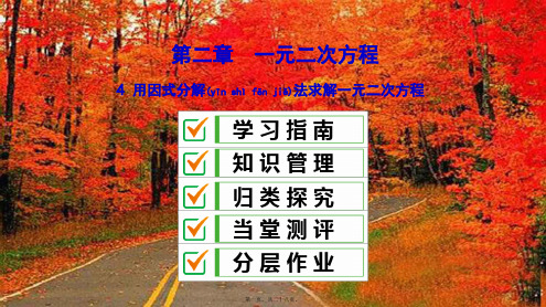 九年级数学上册第二章一元二次方程4用因式分解法求解一元二次方程