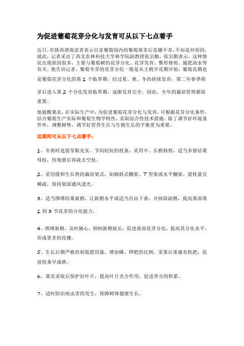 为促进葡萄花芽分化与发育可从以下七点着手