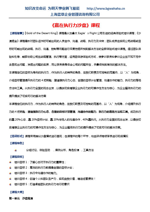 《赢在执行力沙盘》