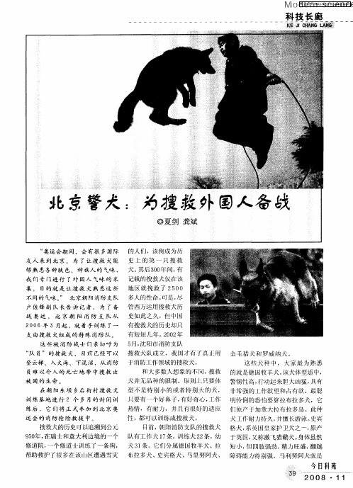 北京警犬：为搜救外国人备战