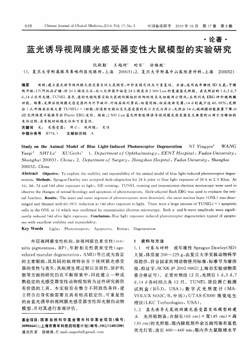 蓝光诱导视网膜光感受器变性大鼠模型的实验研究