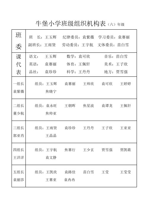 牛堡小学班级组织机构表