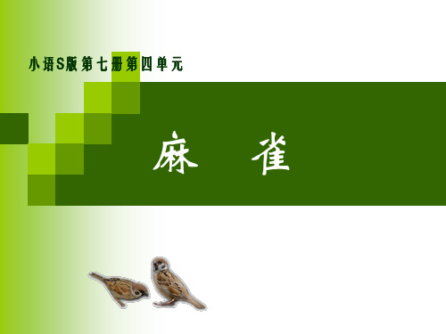 语文S版四年级语文上册《麻雀》课件