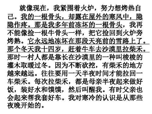 柴禾