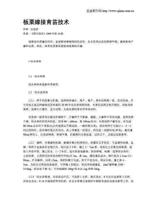 板栗嫁接育苗技术