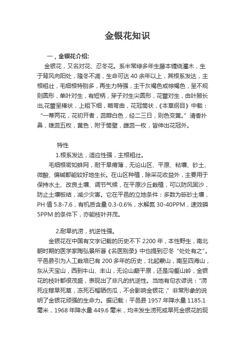 南国红金银花知识讲座