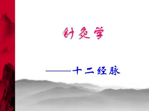 针灸学 十二经