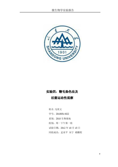 山大微生物报告 芽孢染色