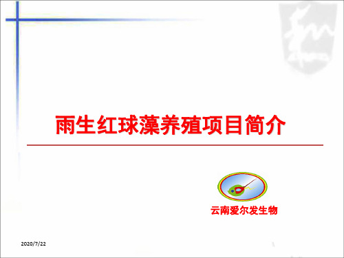 雨生红球藻养殖项目简介