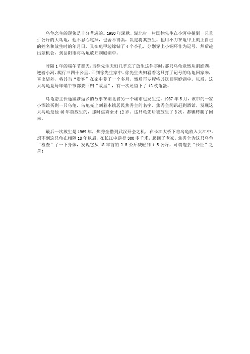 (青少年心灵成长直通车)启迪孩子智慧的动物故事_乌龟恋主
