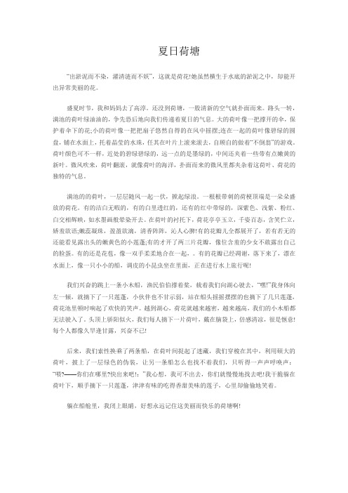 小升初择校考试满分作文10篇