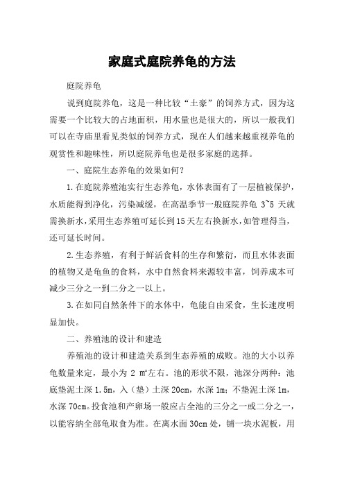 家庭式庭院养龟的方法