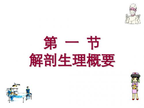 小肠疾病病人的护理[精品ppt课件]