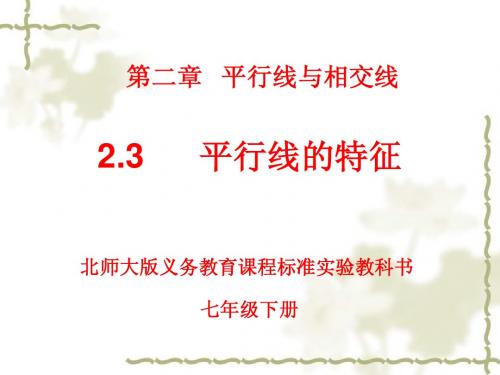 《平行线的特征》课件