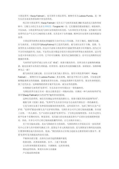 卡琪花蒂玛简介