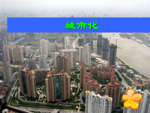 人教版高中地理必修二第二章第三节 城市化 课件(共39张PPT)
