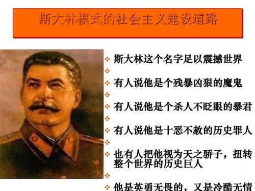 斯大林模式的社会主义建设道路ppt10