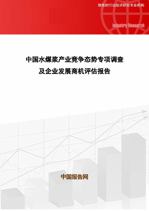 中国水煤浆产业竞争态势专项调查及企业发展商机评估报告